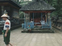 IDN Bali 1990OCT WRLFC WGT 020  Reet Petite in comfort mode. : 1990, 1990 World Grog Tour, Asia, Bali, Date, Indonesia, Month, October, Places, Rugby League, Sports, Wests Rugby League Football Club, Year